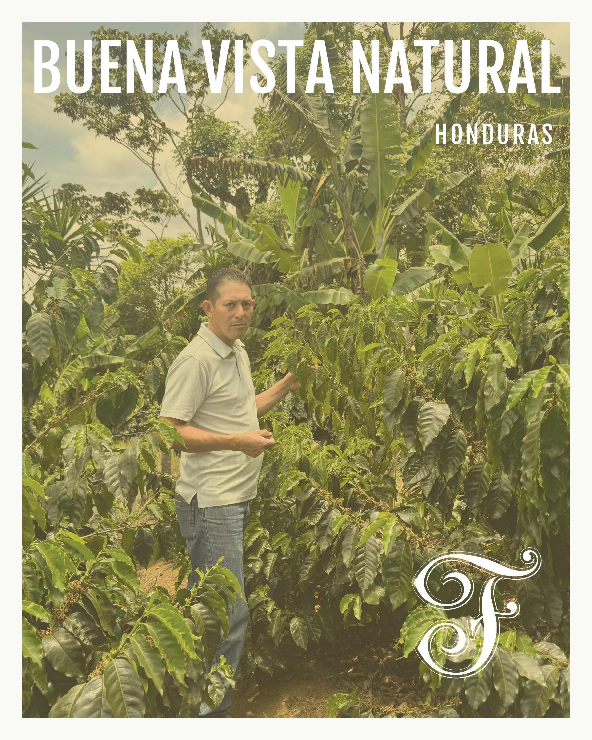 Buena Vista Natural Honduras