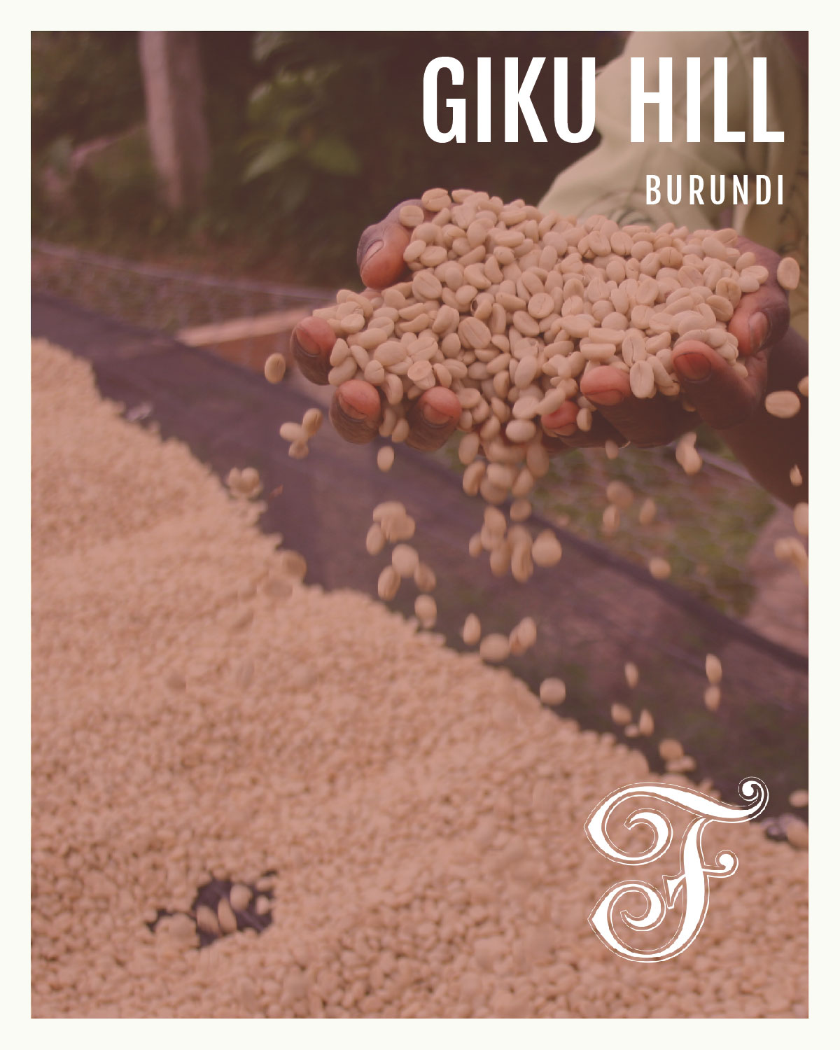Giku Hill Product card