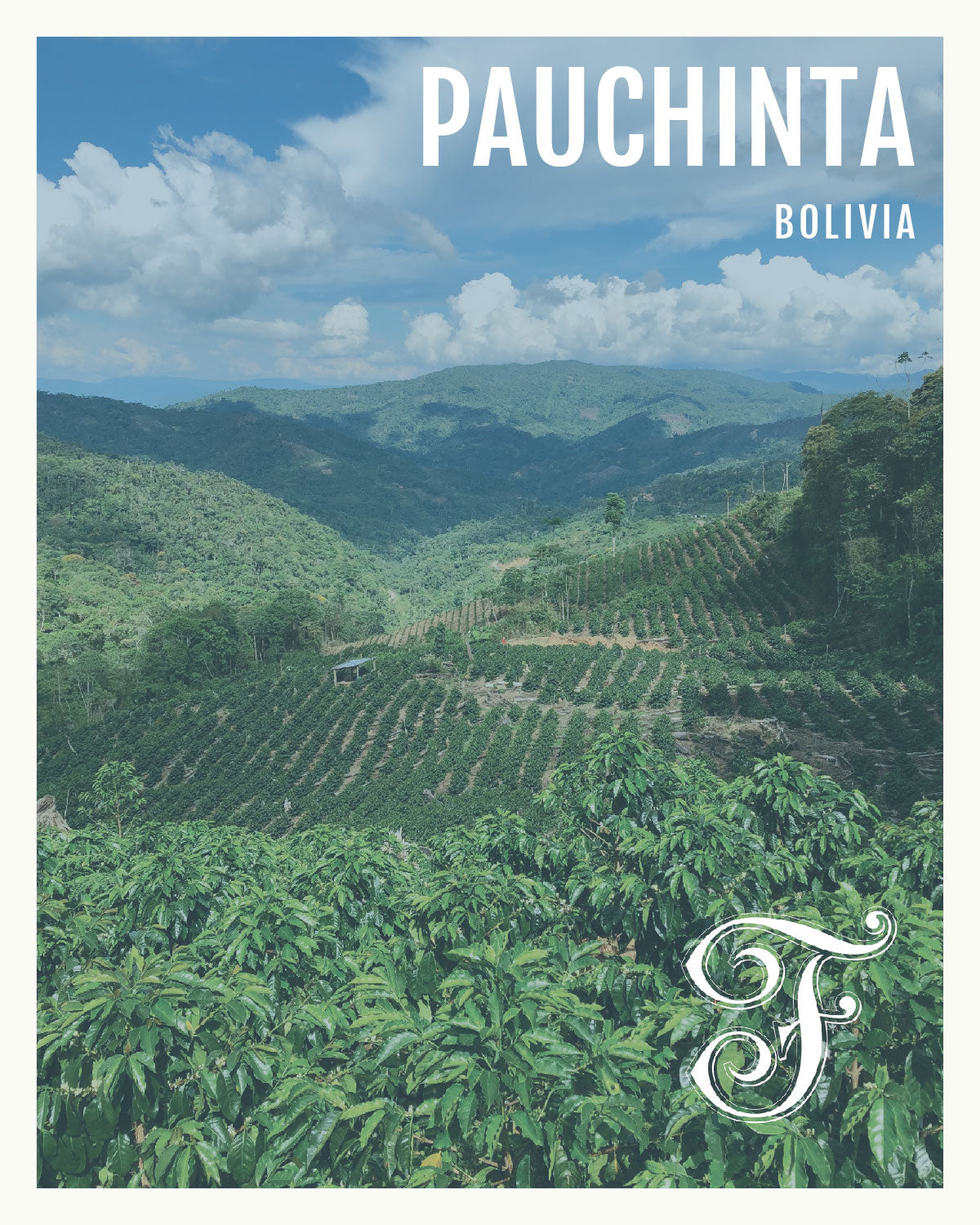 pauchinta bolivia